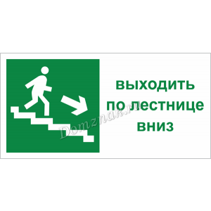 ТБ-087 - Табличка «Выходить по лестнице вниз»